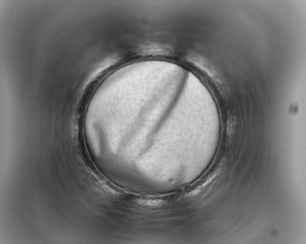 X0000098221309200805081149