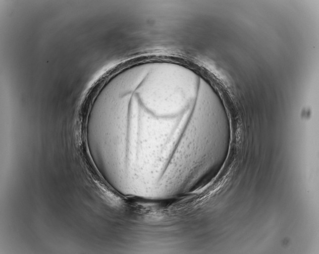 X0000098221310200805081149