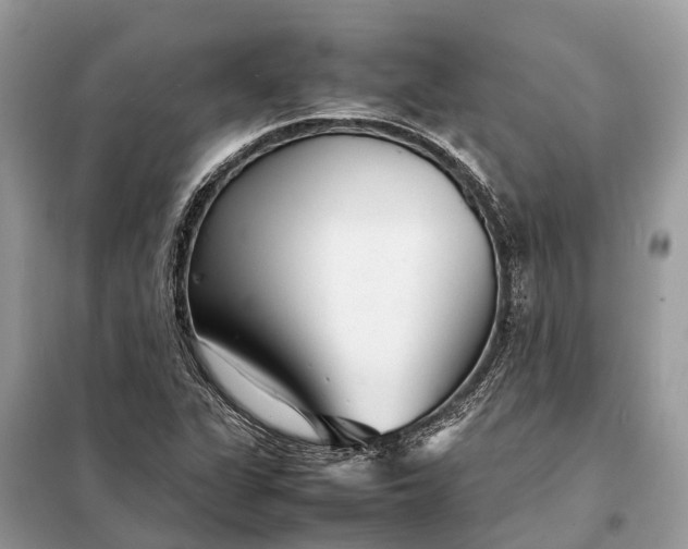 X0000098221311200805081149