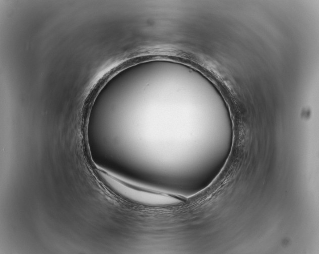 X0000098221312200805081149