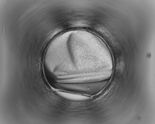 X0000098221313200805081149