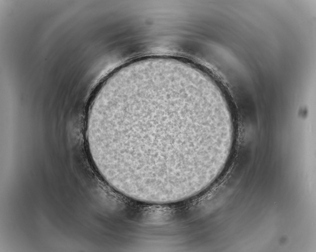 X0000098221314200805081149