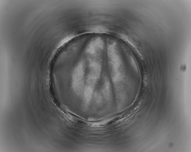 X0000098221315200805081149