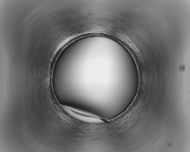 X0000098221316200805081149