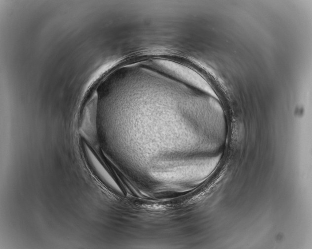 X0000098221317200805081149