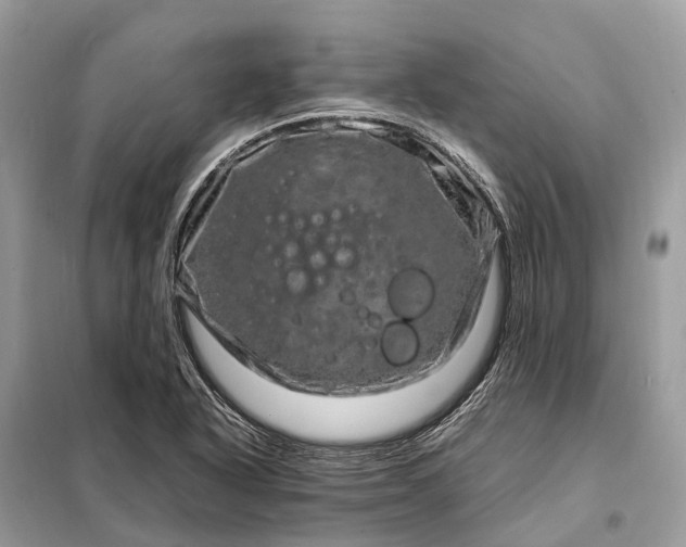 X0000098221318200805081149