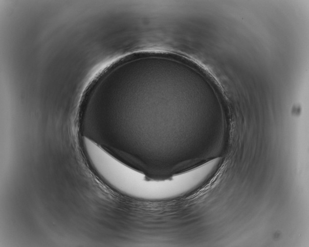 X0000098221319200805081149