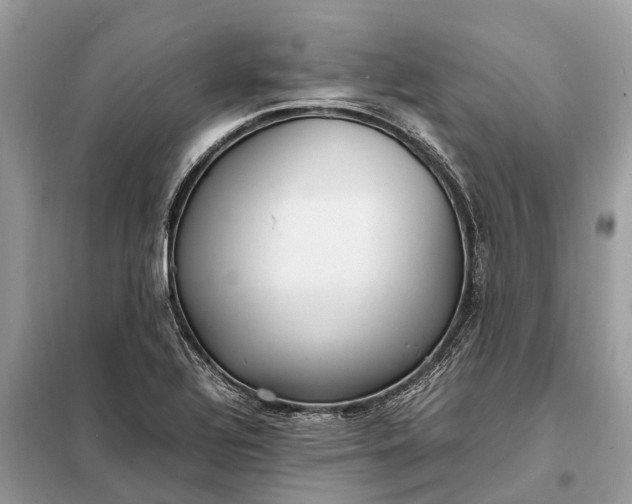 X0000098221320200805081149