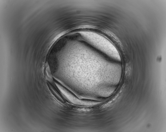 X0000098221321200805081149