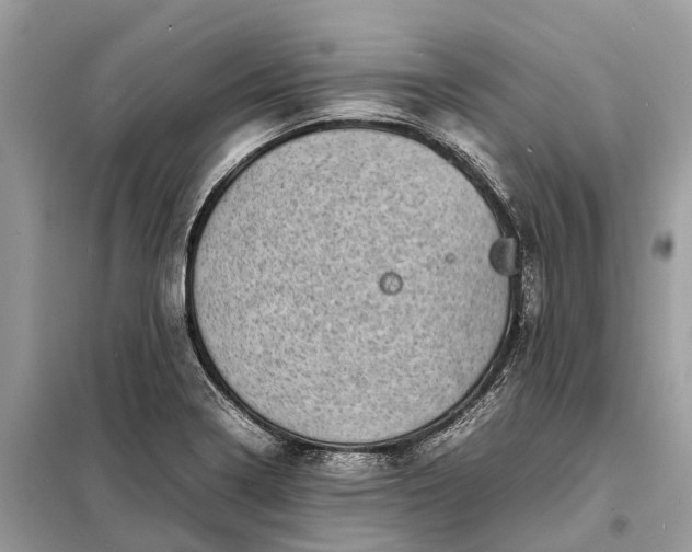 X0000098221322200805081149