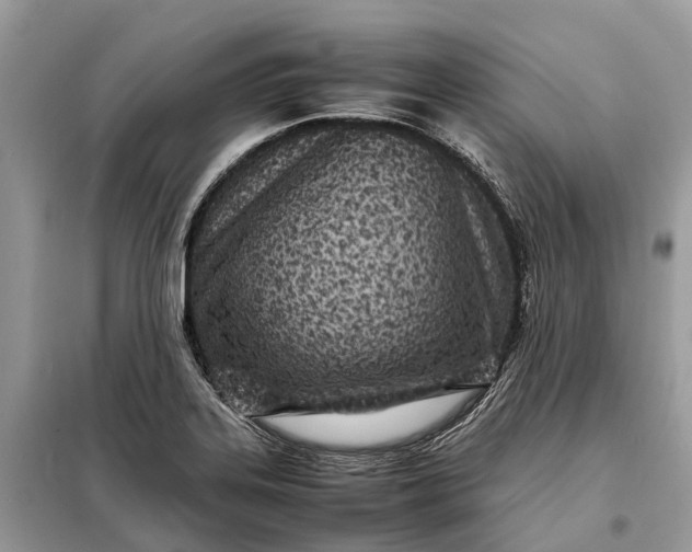 X0000098221323200805081149