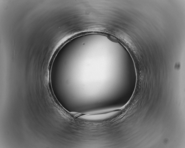 X0000098221324200805081149