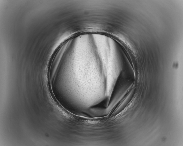 X0000098221325200805081149