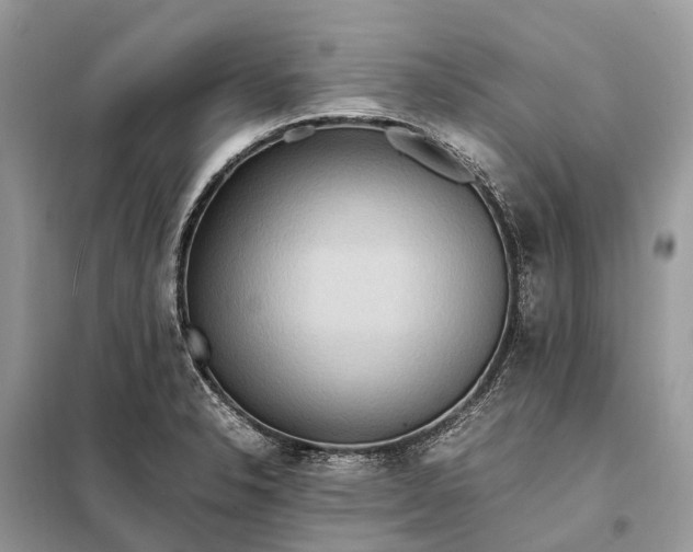 X0000098221326200805081149