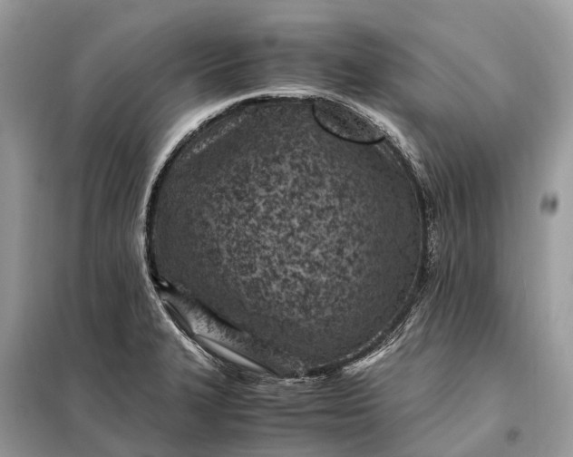 X0000098221327200805081149