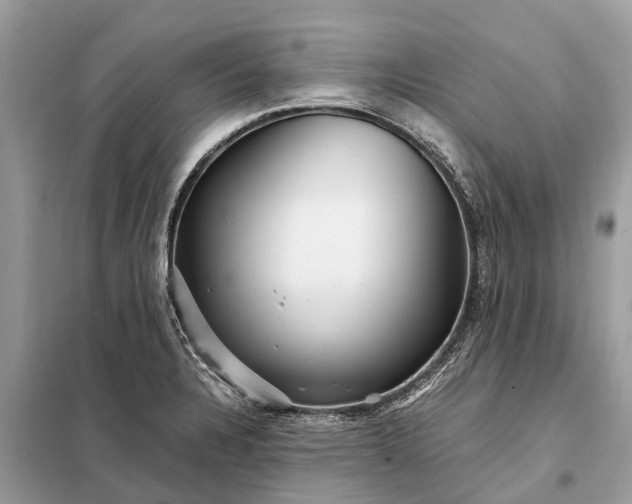 X0000098221328200805081149