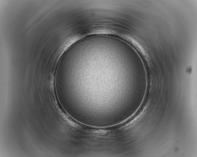 X0000098221329200805081149