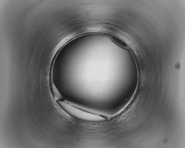 X0000098221330200805081149