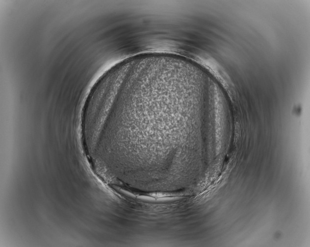 X0000098221331200805081149