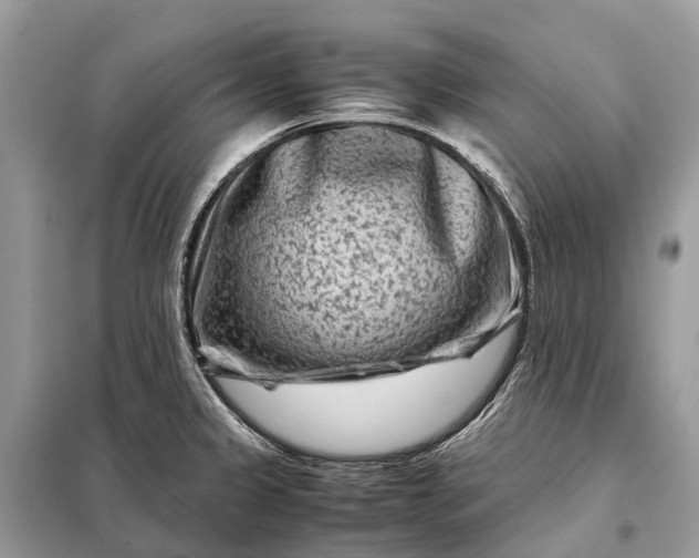 X0000098221333200805081149