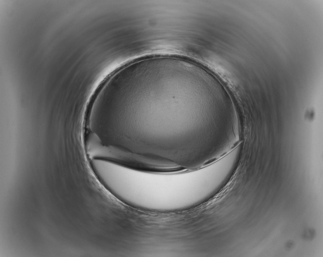 X0000098221334200805081149