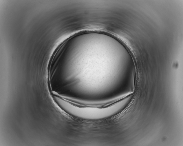 X0000098221335200805081149