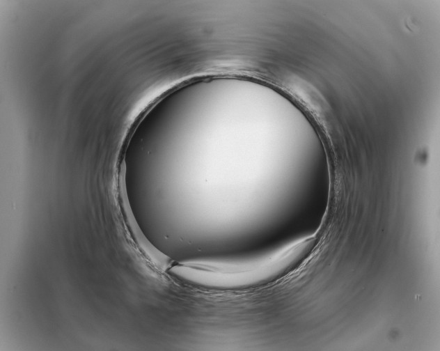 X0000098221336200805081149