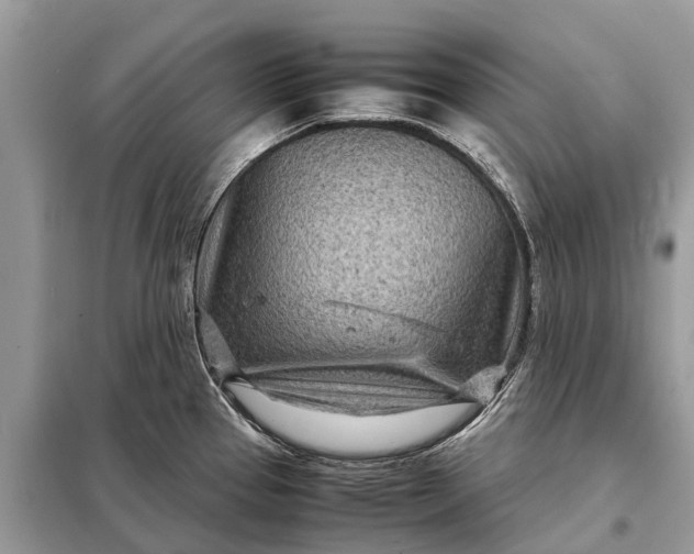 X0000098221337200805081149