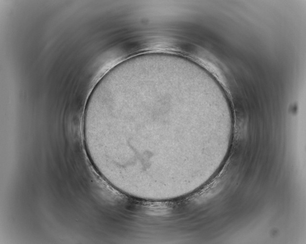 X0000098221338200805081149