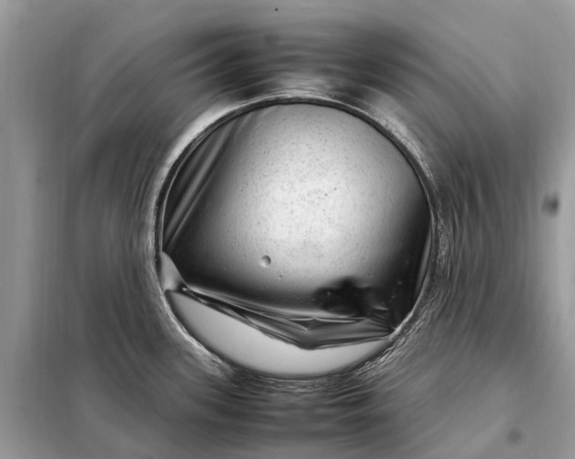 X0000098221339200805081149