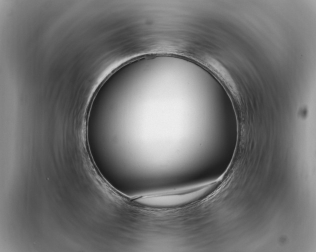 X0000098221340200805081149