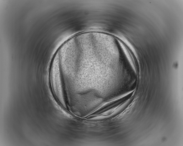 X0000098221341200805081149