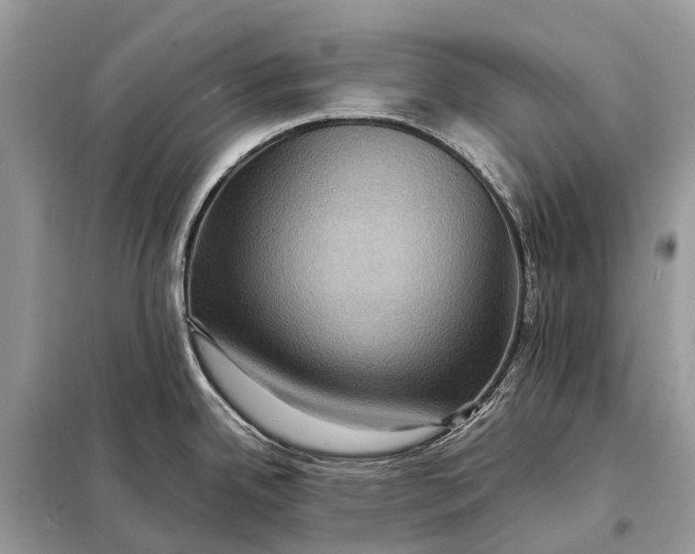 X0000098221342200805081149