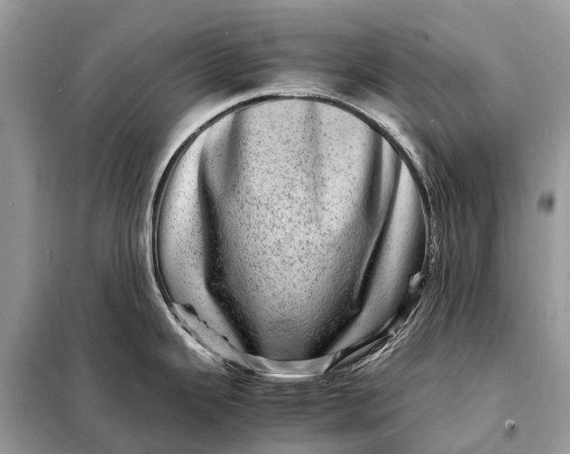 X0000098221343200805081149