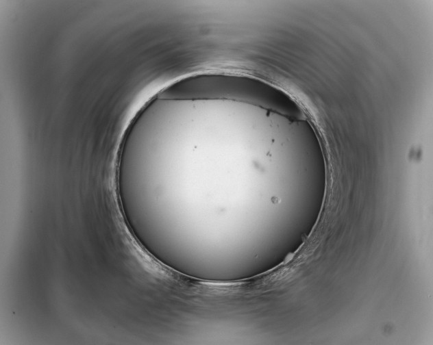 X0000098221344200805081149