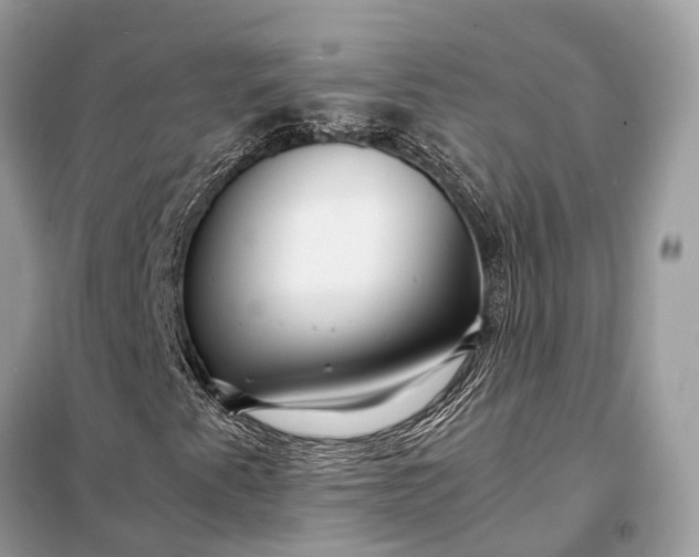 X0000098221345200805081148