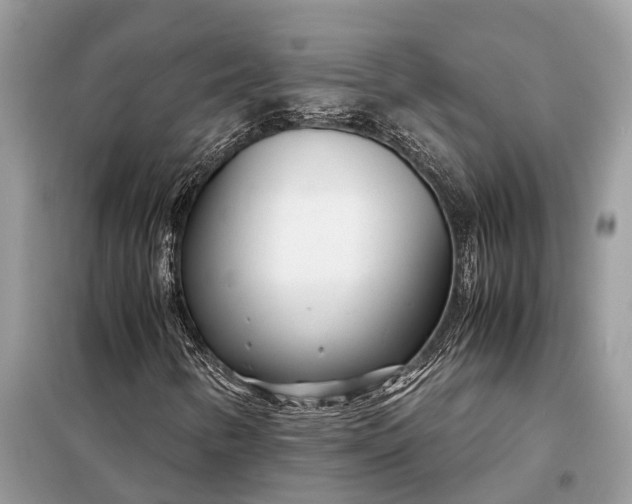 X0000098221346200805081148