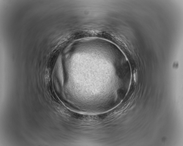 X0000098221347200805081148