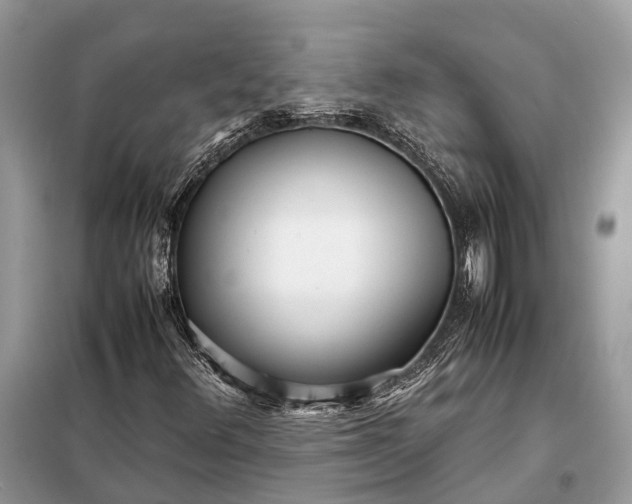 X0000098221348200805081148