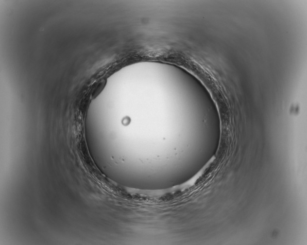 X0000098221349200805081148