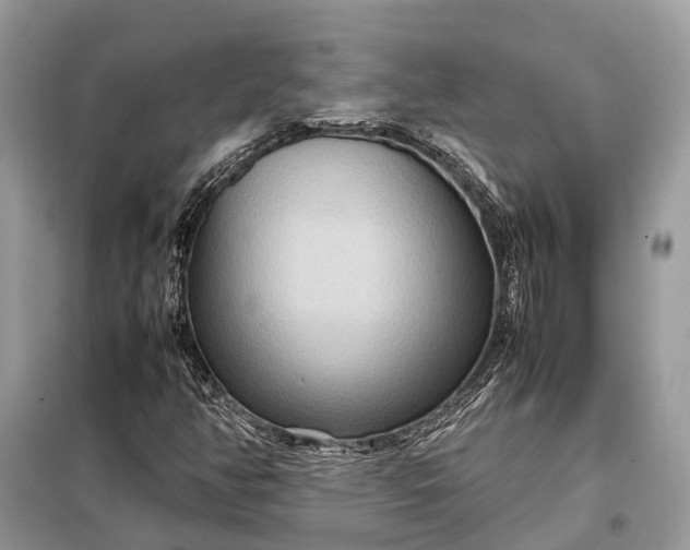 X0000098221350200805081148