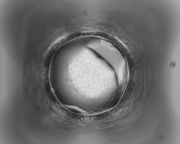 X0000098221351200805081148