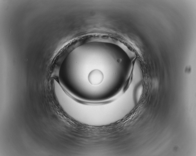 X0000098221352200805081148