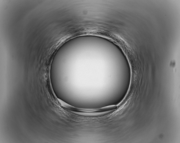 X0000098221353200805081148