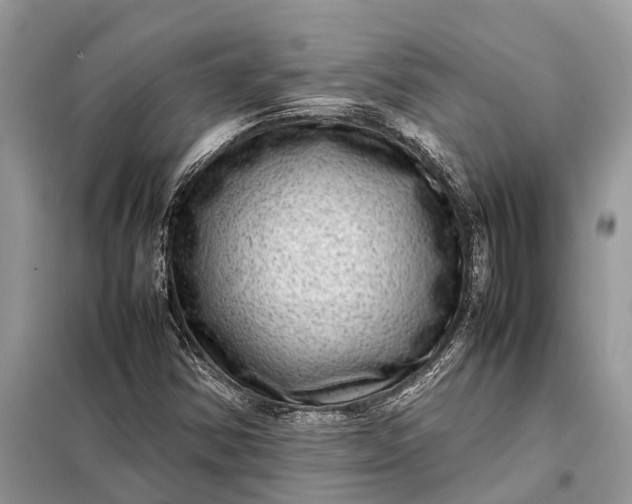 X0000098221354200805081148