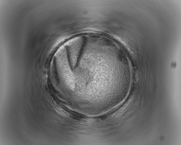 X0000098221355200805081148