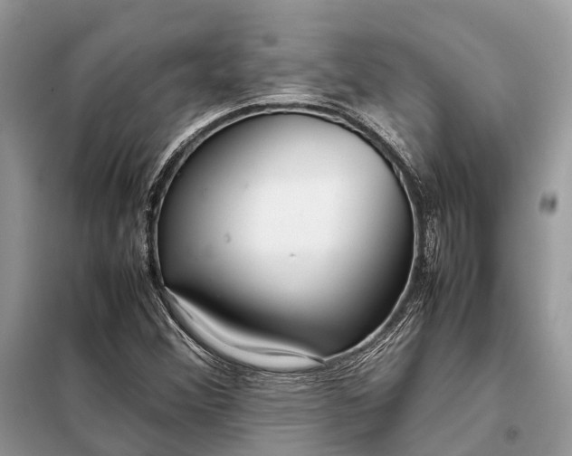 X0000098221356200805081148