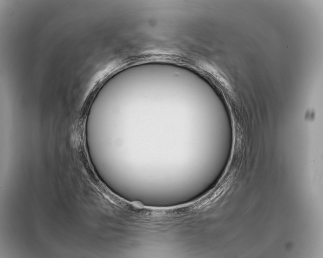 X0000098221357200805081148