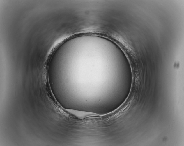 X0000098221358200805081148