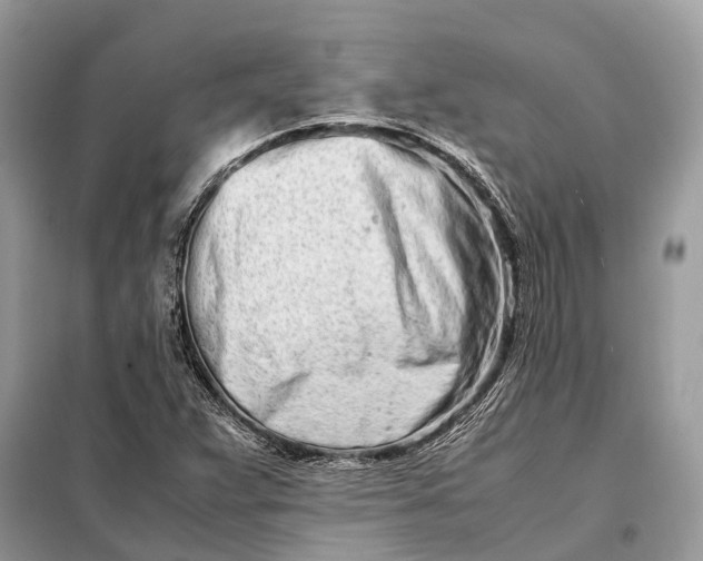 X0000098221359200805081148